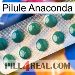 Anaconda Pill dapoxetine1
